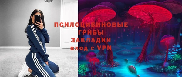 ПСИЛОЦИБИНОВЫЕ ГРИБЫ Бронницы