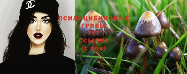 ПСИЛОЦИБИНОВЫЕ ГРИБЫ Бронницы