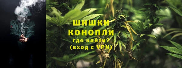 ПСИЛОЦИБИНОВЫЕ ГРИБЫ Бронницы