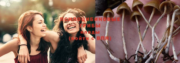 мескалин Бугульма