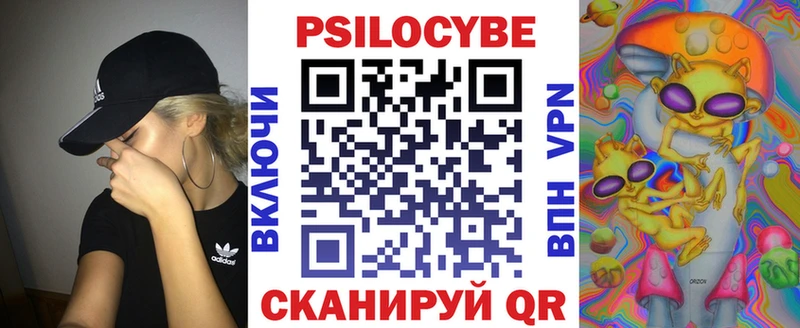 Галлюциногенные грибы Psilocybe  купить наркоту  блэк спрут вход  Тольятти 