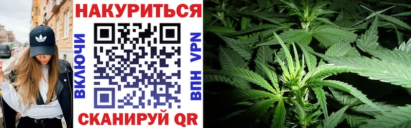 где найти   Тольятти  Шишки марихуана Amnesia 